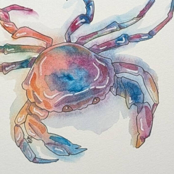 line and wash illustrations